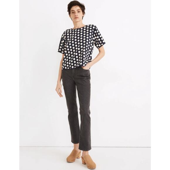 Madewell Textured Dot Top Embroidered Crew Neck Short Sleeve Boxy Blouse - Picture 14 of 14